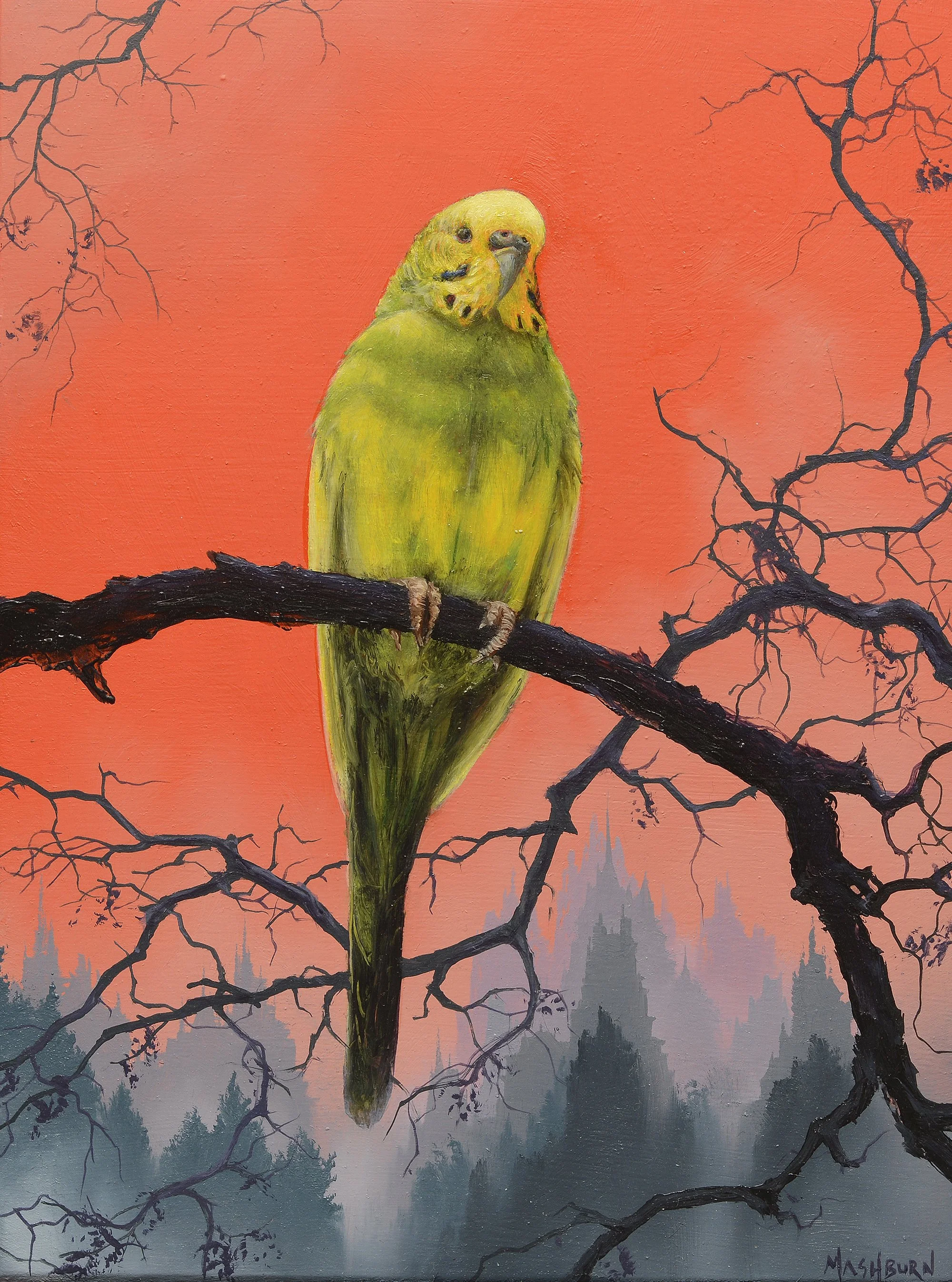 Green Budgie