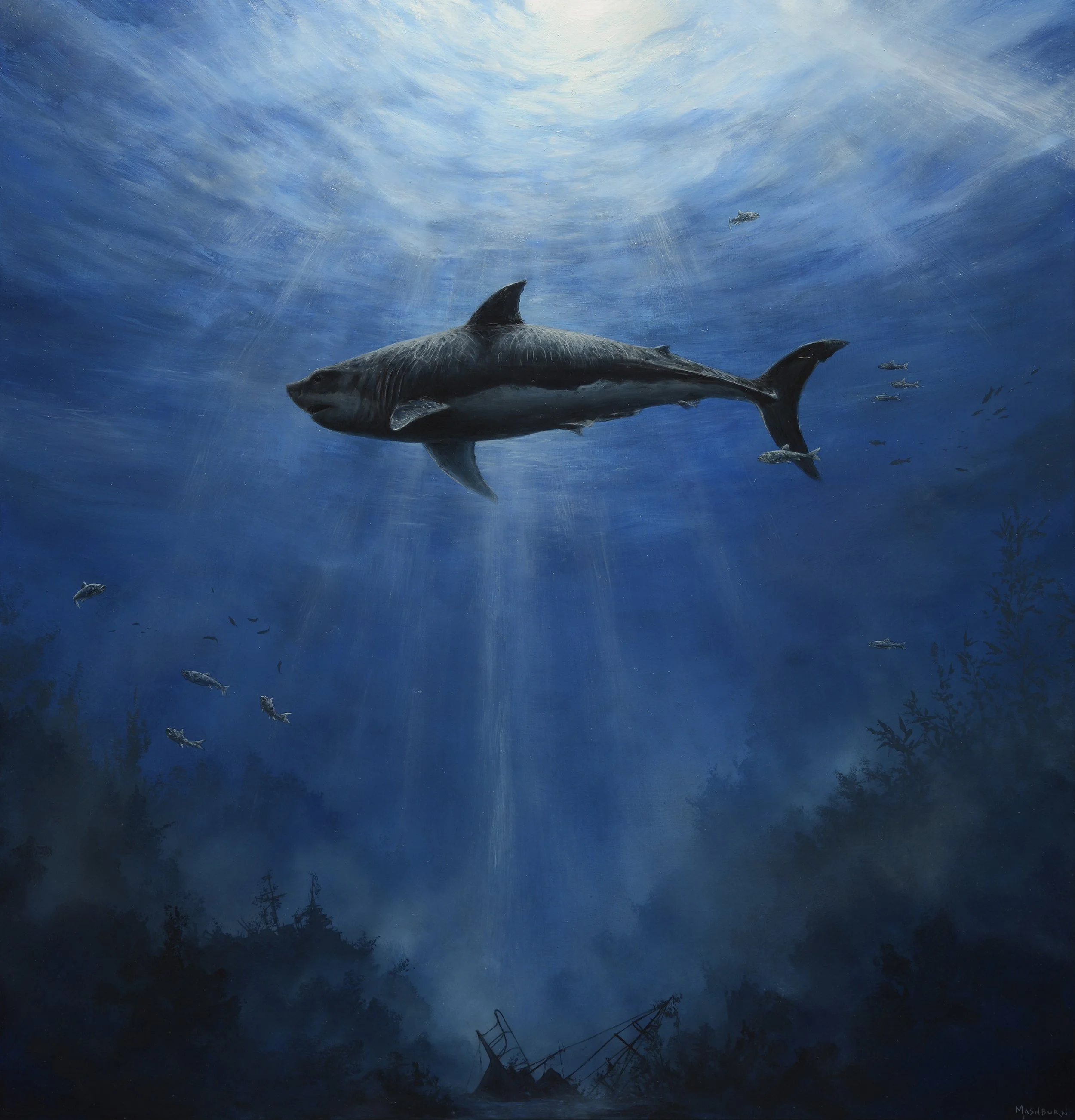Great White Shark