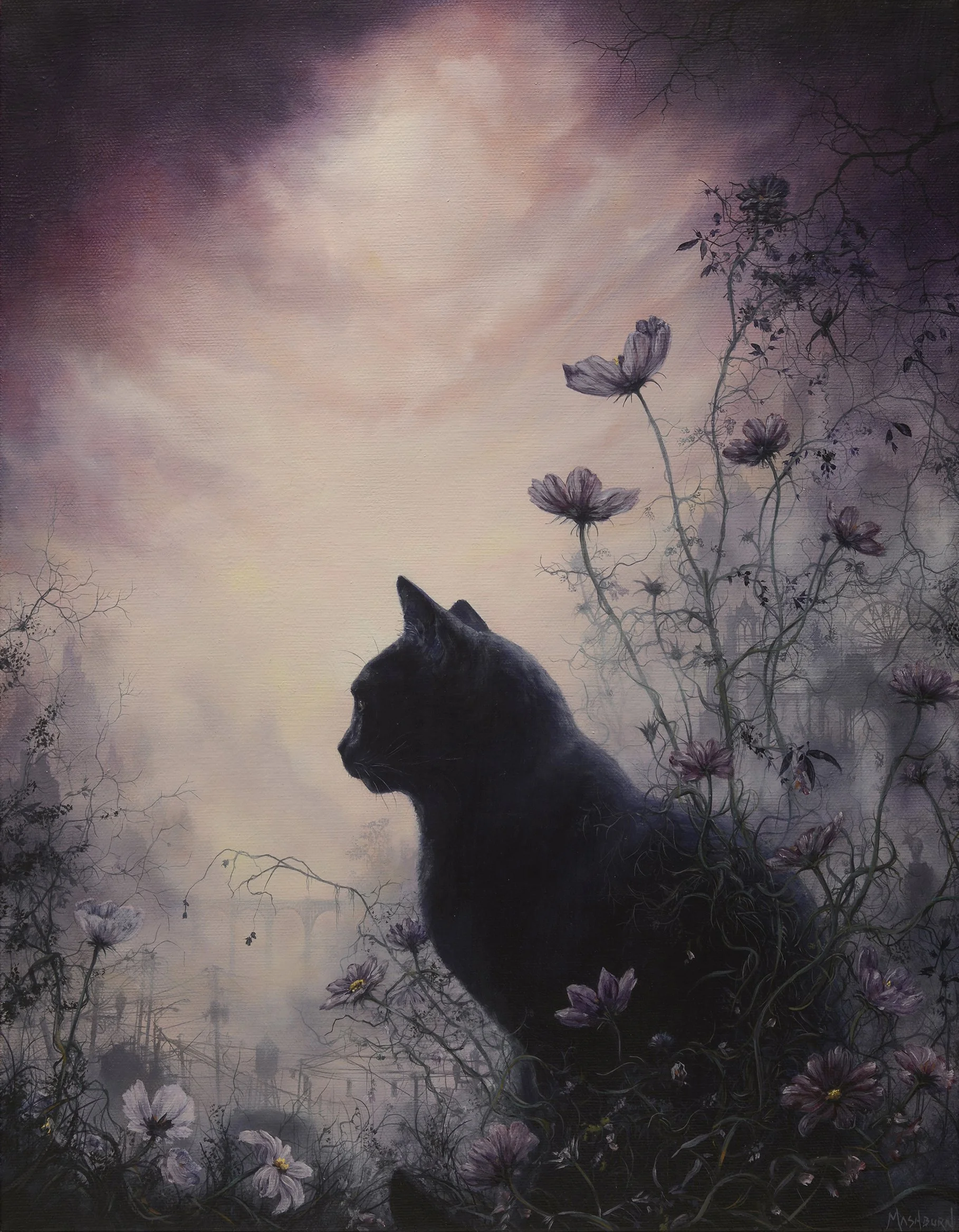 Cat in the Cosmos