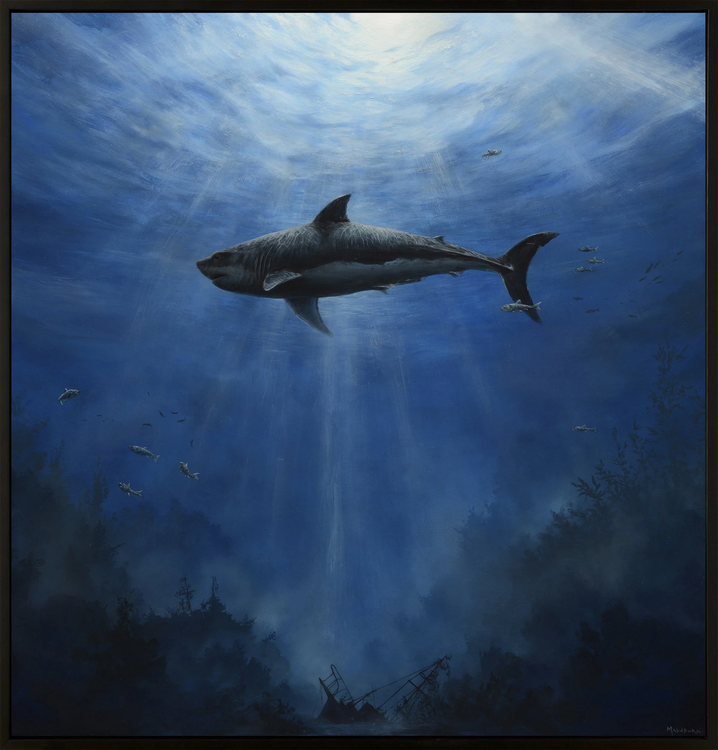 Great White Shark