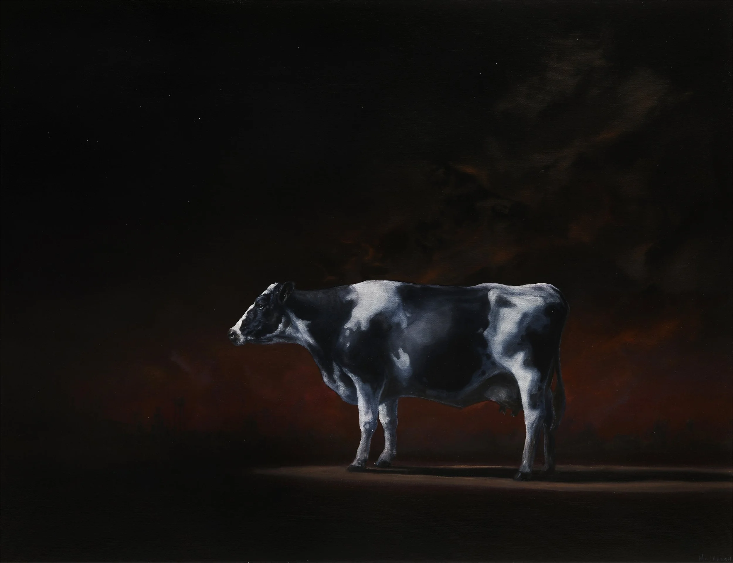 The Cow