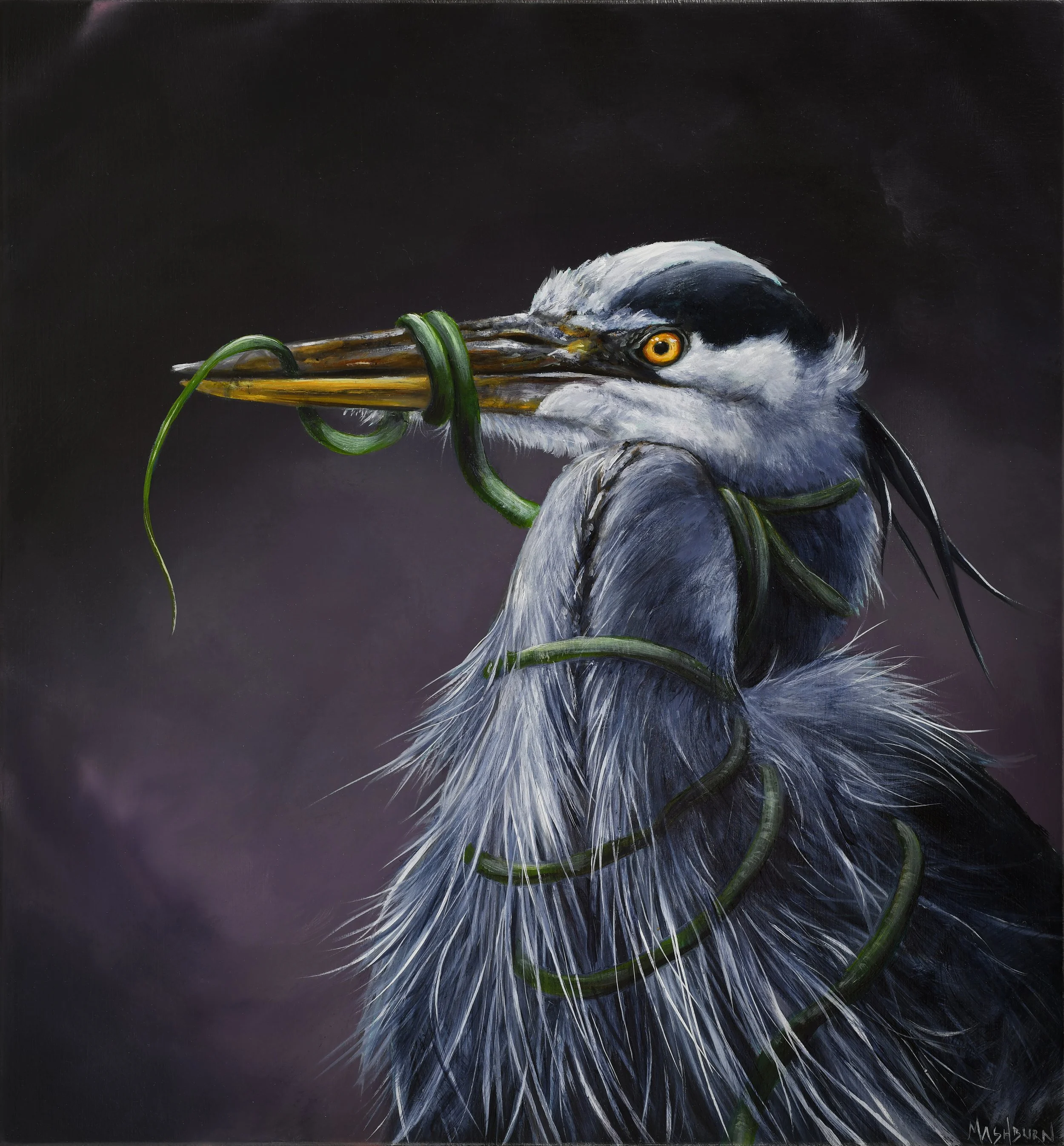 The Snake and The Heron