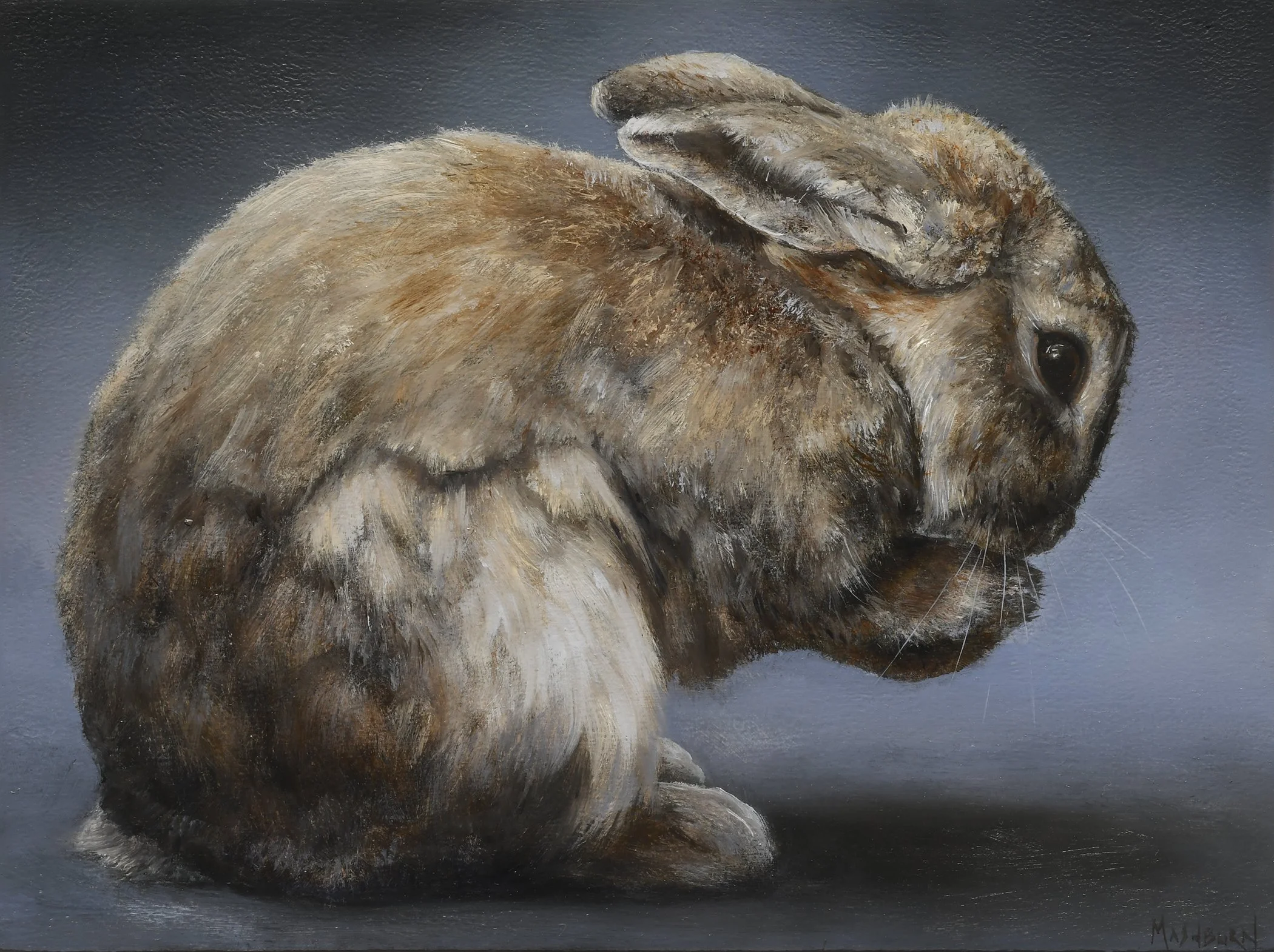 The Rabbit