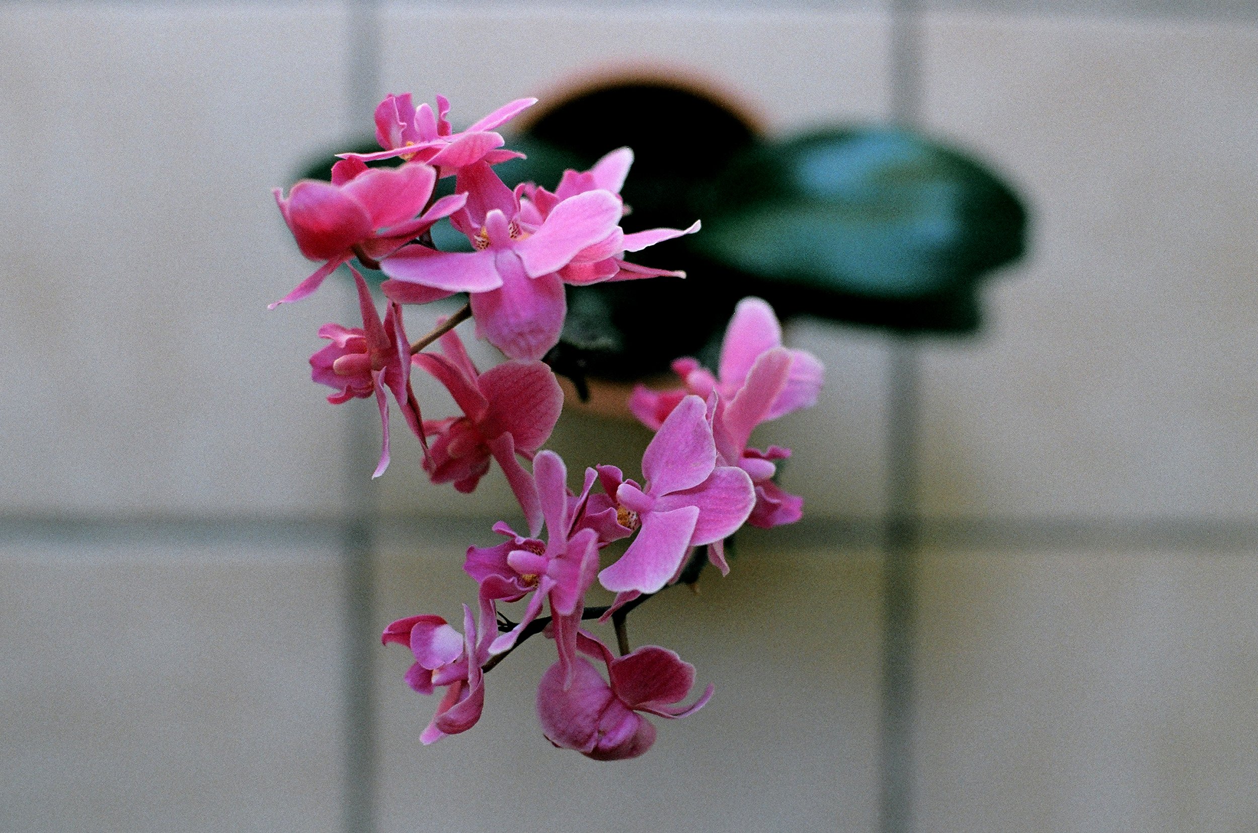 43610014 copy.jpg