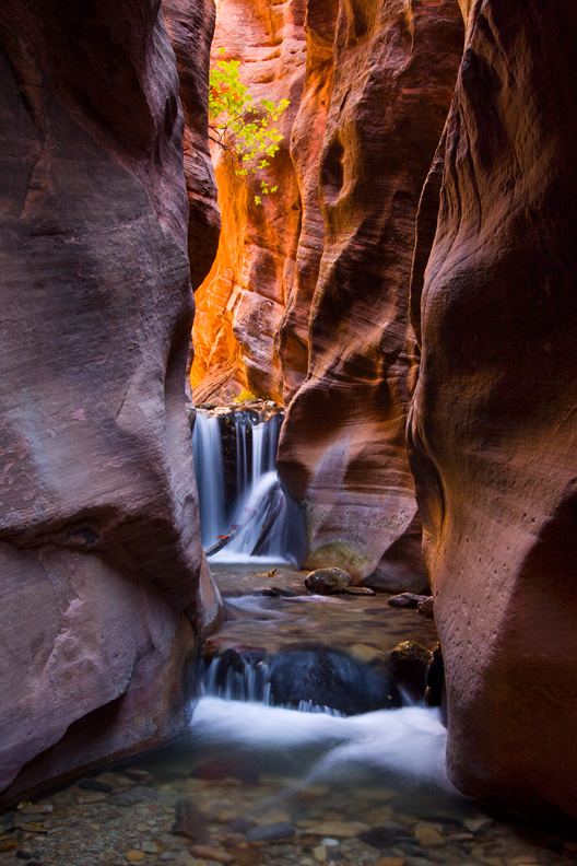"Hidden Falls", Kannara Canyon, Zion National Park, Utah, United States.