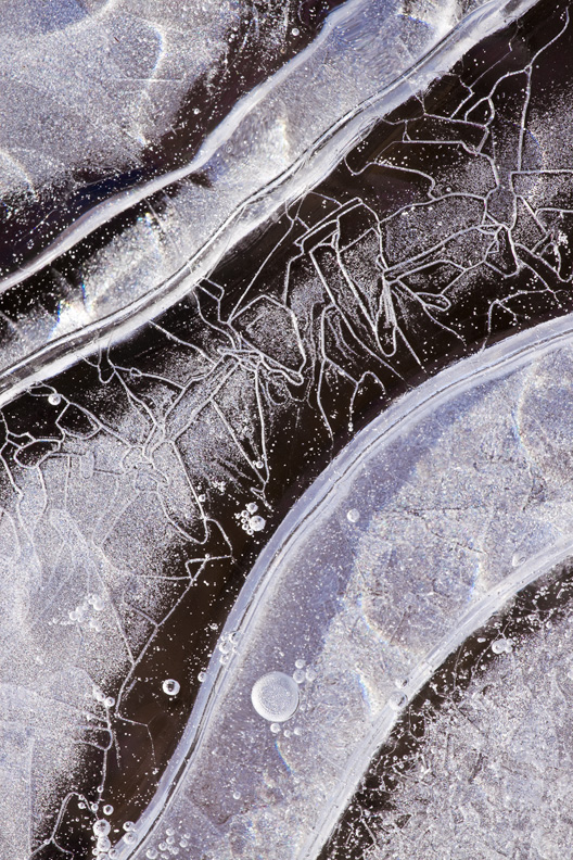 Beautiful Ice Patterns, Maryland, United States.
