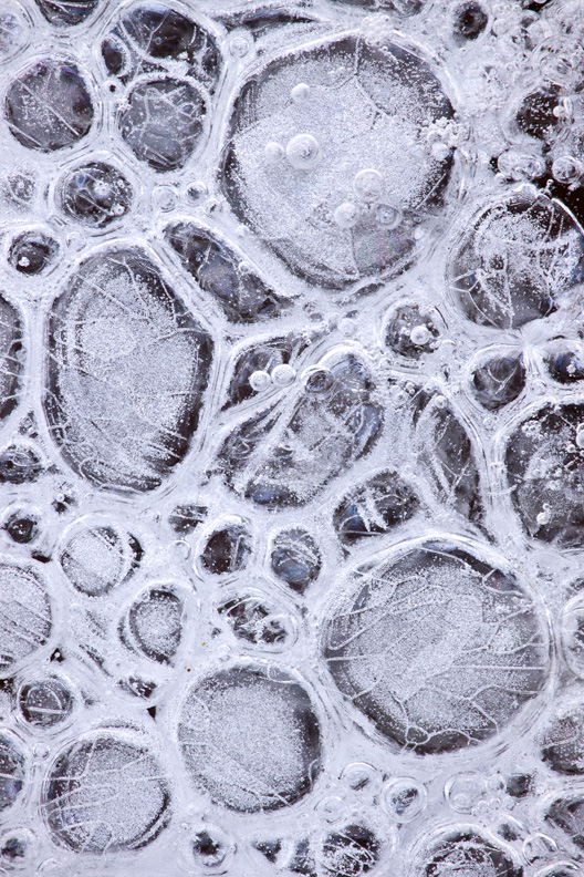 Prehistoric Ice Bubbles, McKee-Beshers Wildlife Management Area, Maryland, United States.