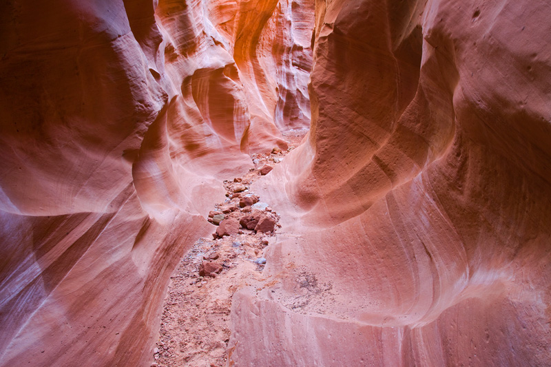"The Secret Passage", Dry Fork of Coyote Gulch, Utah, United States.