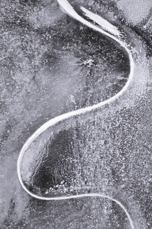 Ying-Yang Zen Ice Closefup, Ellanor C. Lawrence Park, Virginia, United States.
