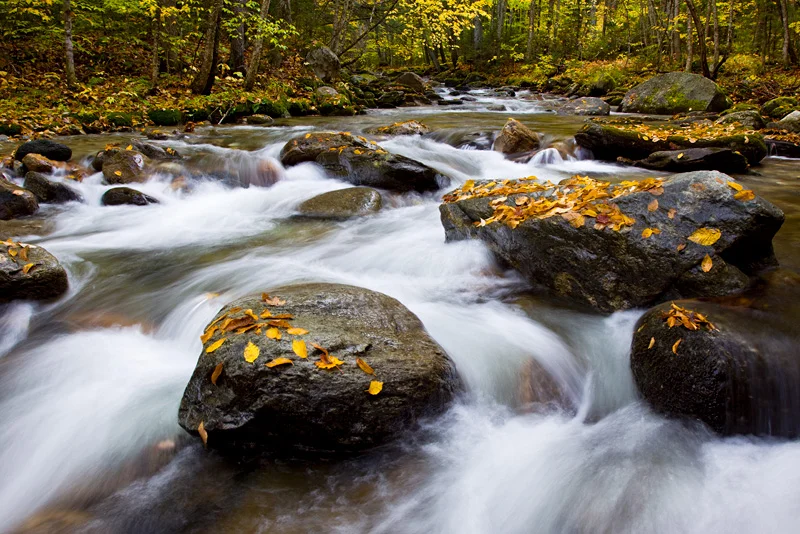 A Beautiful Creek in Autumn, Green Mountain National Forest, Vermont, United States.