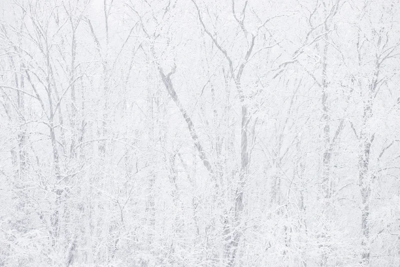 Manassas Battlefield National Park, Virginia During Heavy Snowfall in the Winter.