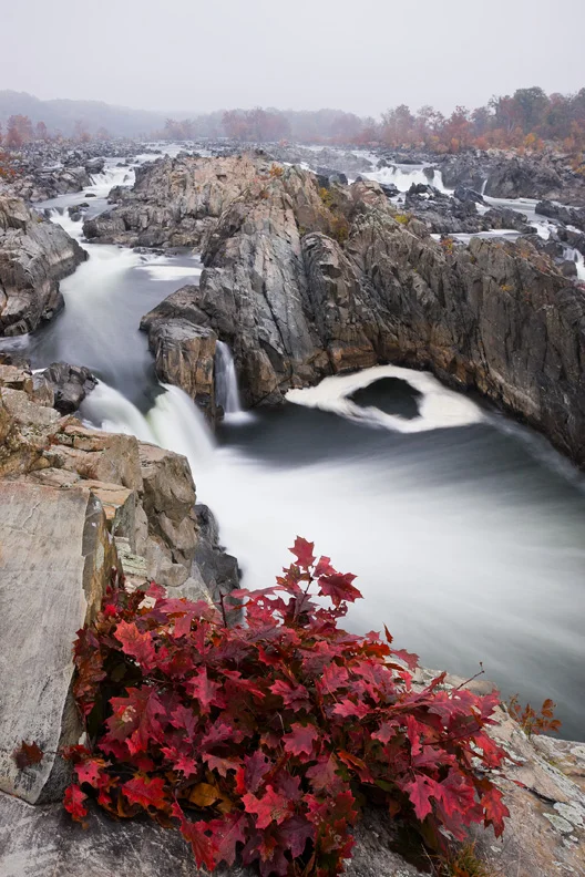 “The Red Dress” - Great Falls National Park, Virginia