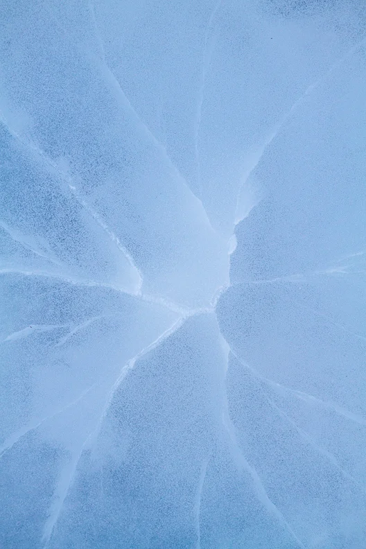 "Celadon" - Crackled ice atop Dolly Sods Wilderness Area, Monongahela National Forest, West Virginia.