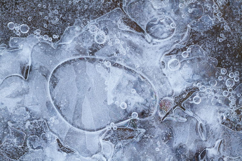 "Wintry Womb" - Ice Patterns in Rock Creek Park, Washington D.C.