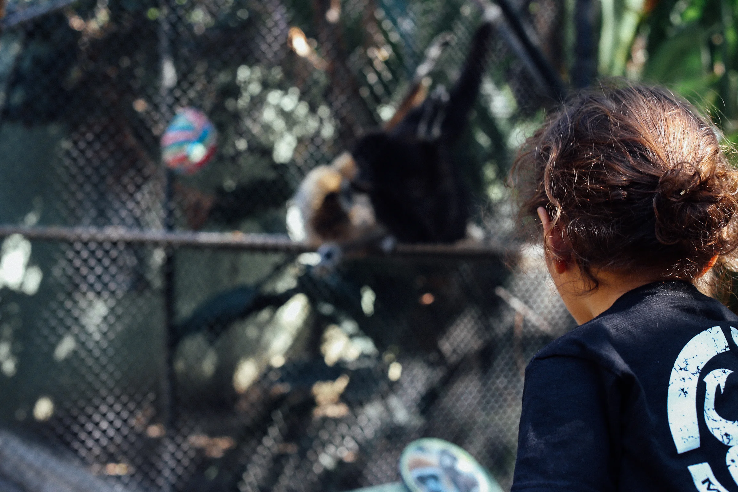 Xander_SantaAnaZoo-29.jpg