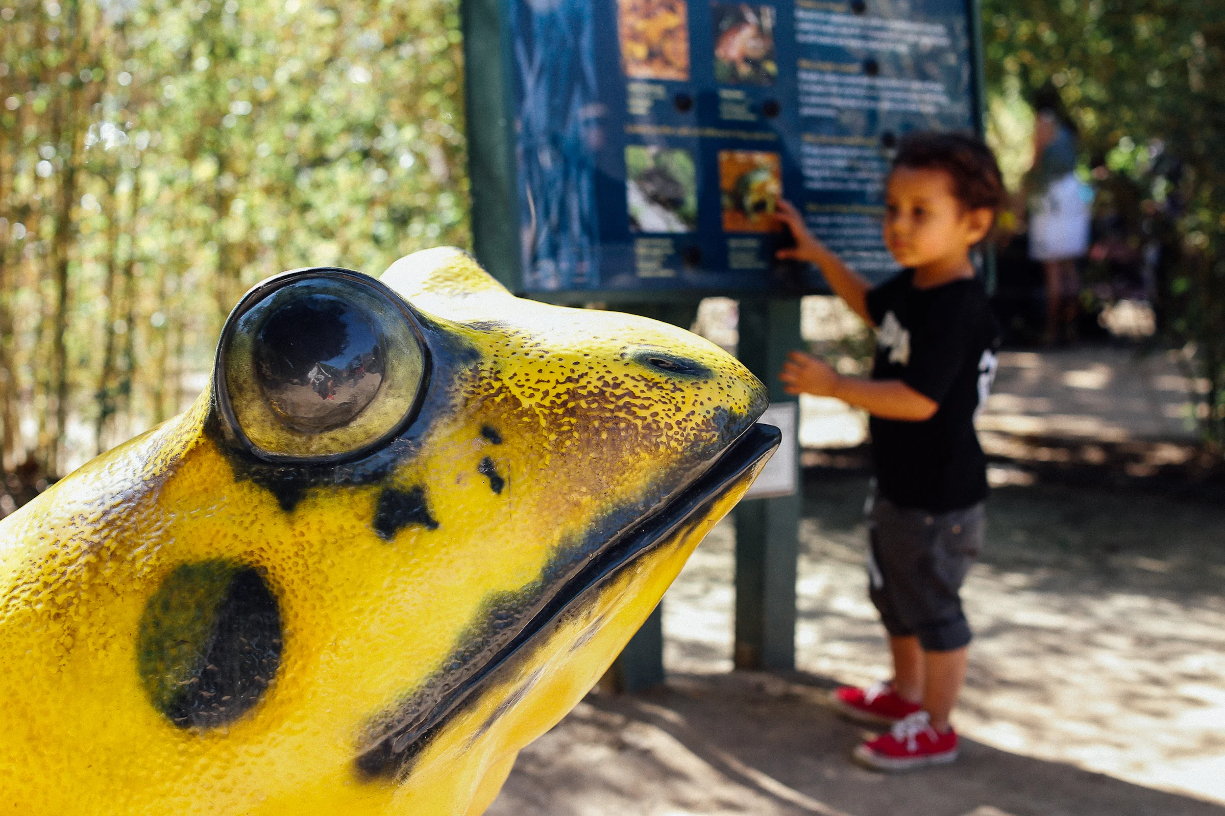 Xander_SantaAnaZoo-40.jpg