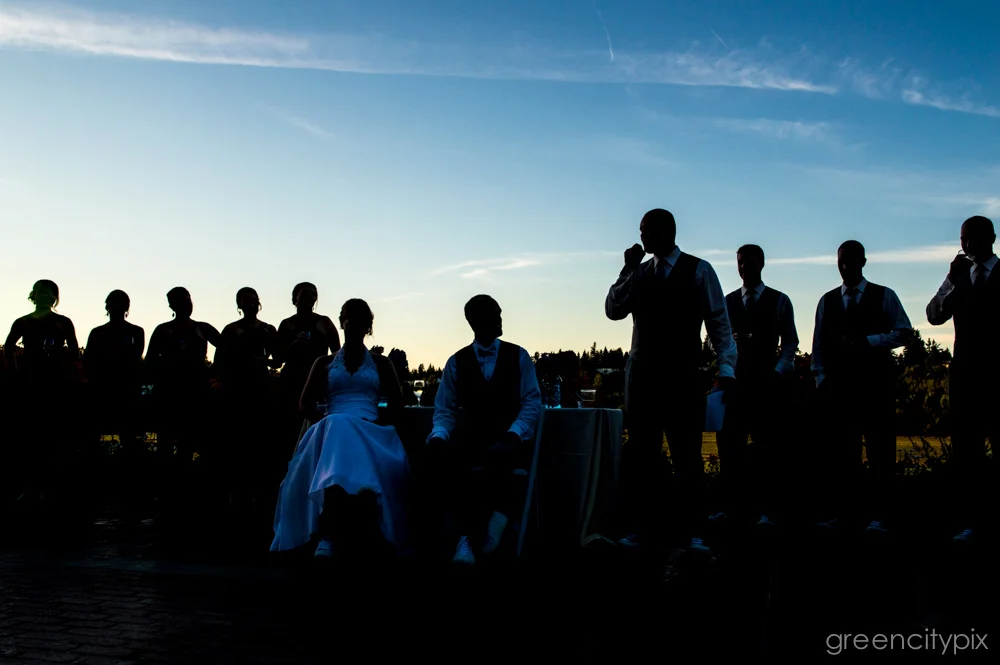 They partied long after the sun went down... Silhouettes of the wedding party as a groomsman makes a speech.