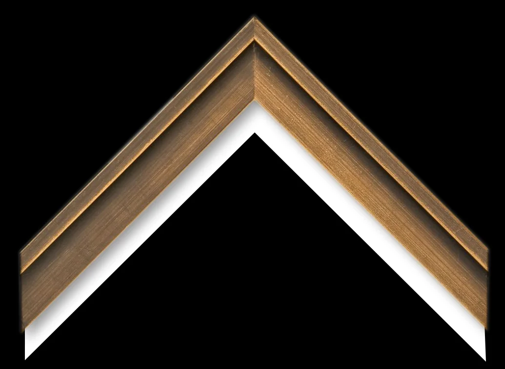 Gold Frame_w_Liner.jpg
