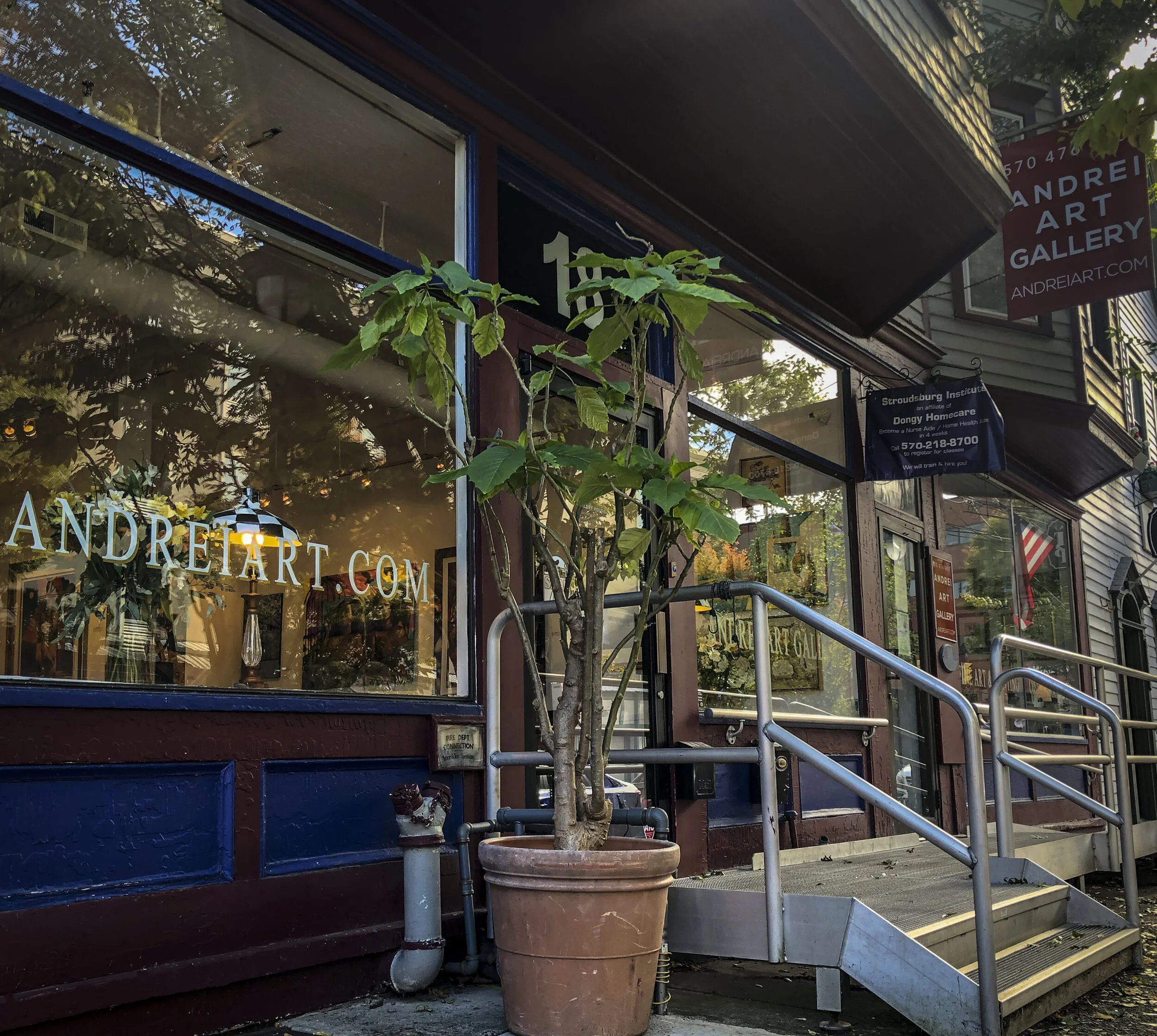 Andrei Art Gallery.jpg