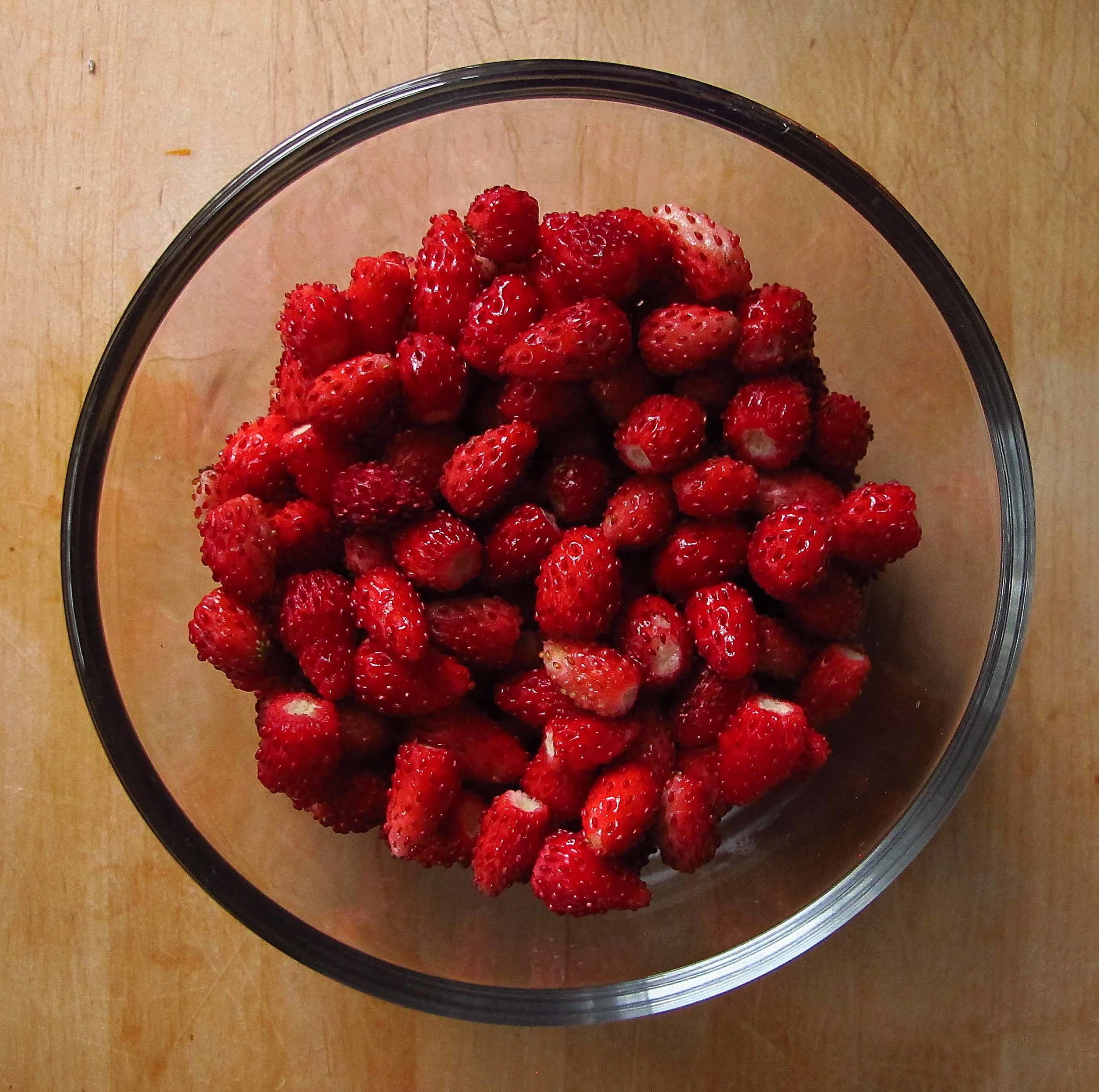 Wild Strawberries, Duluth, Minnesota