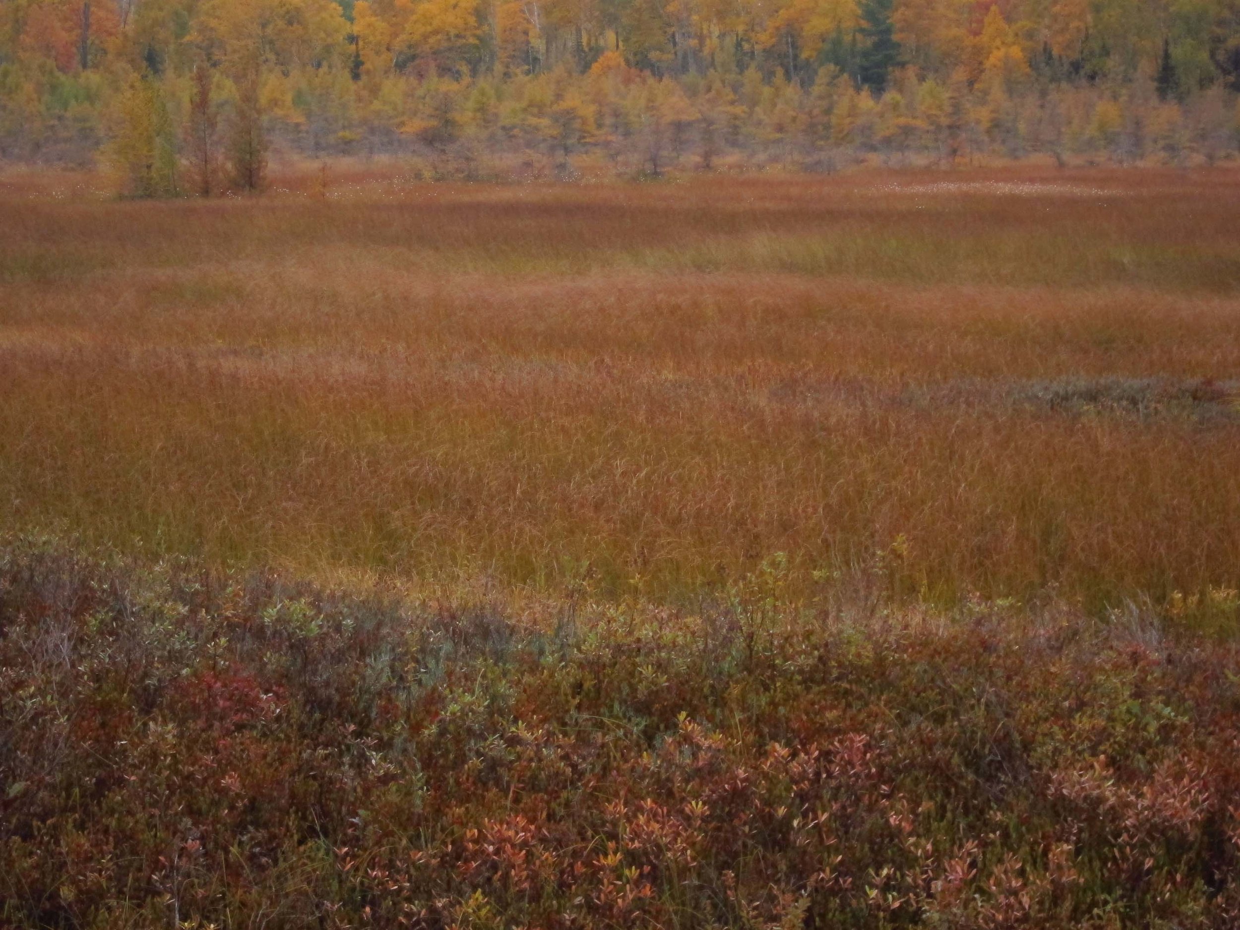   Madeline Island, Wisconsin  