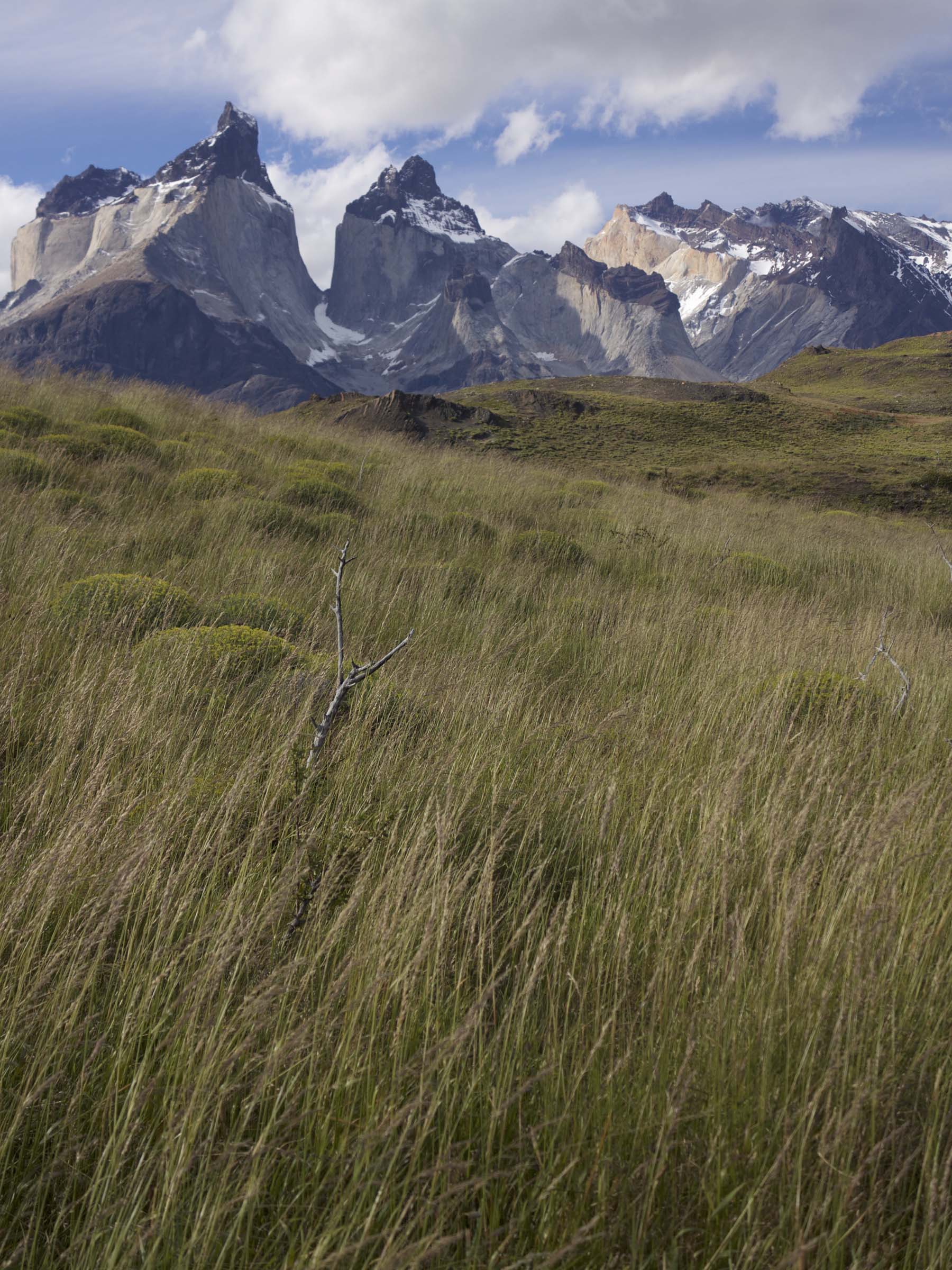   Torres del Paine National Park  