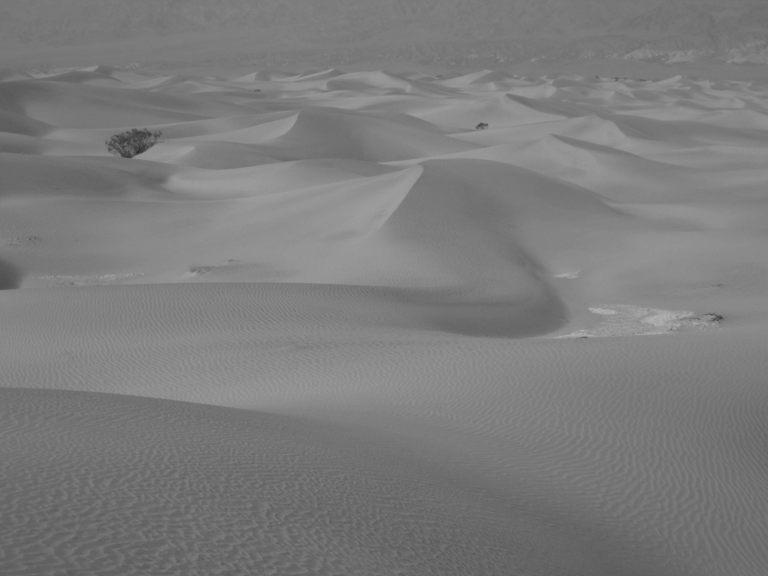    Mesquite Flat Sand Dunes, Death Valley National Park   
