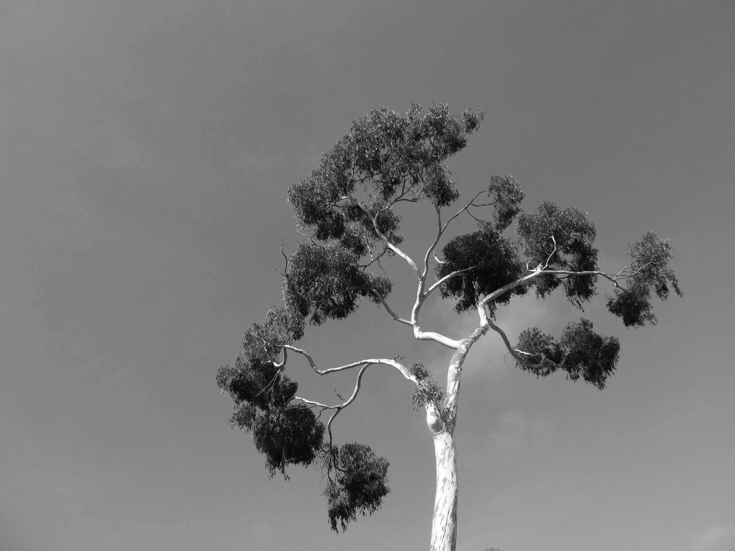 Balboa Park, San Diego