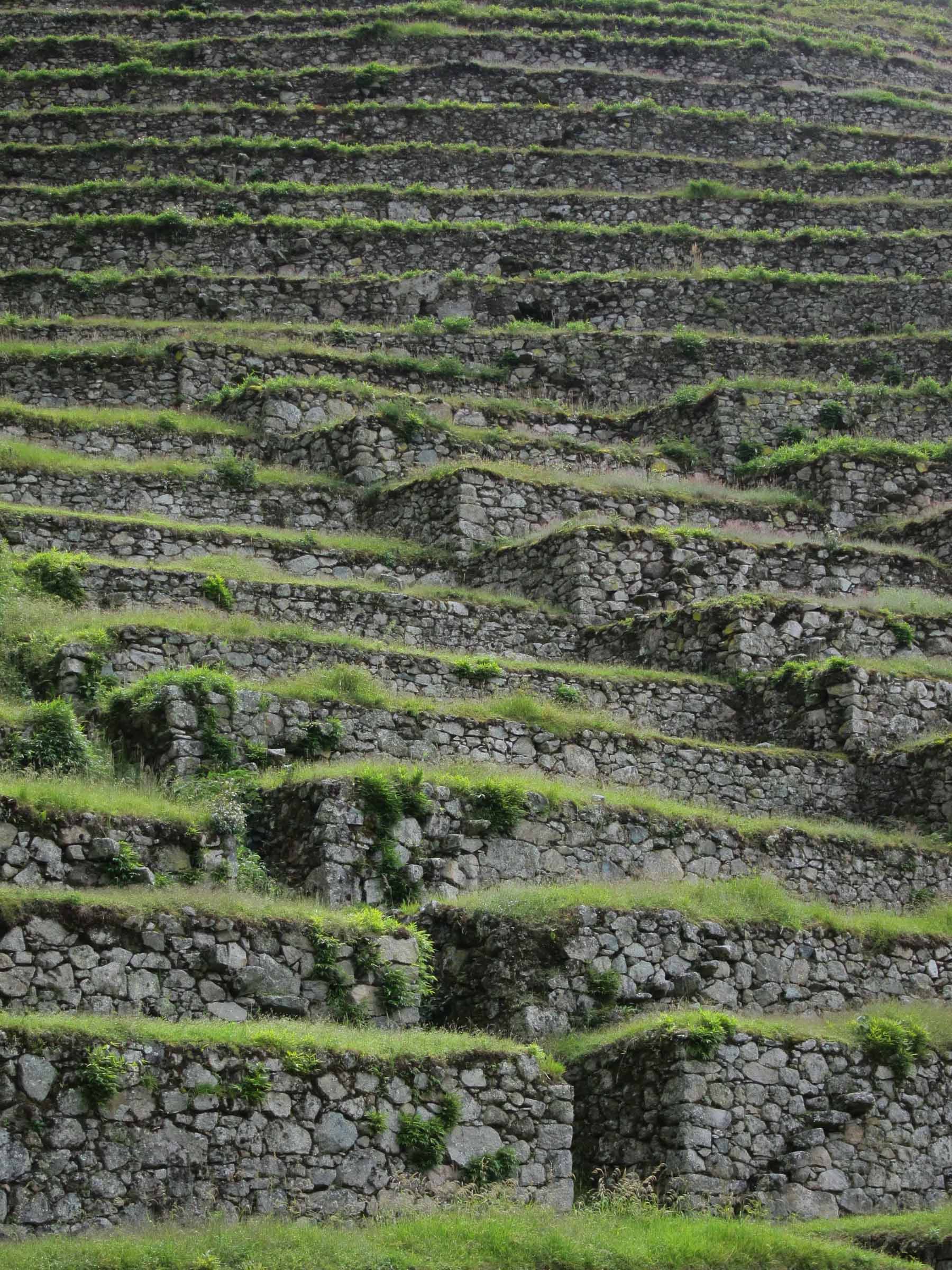   Intipata, Urubamba Valley  