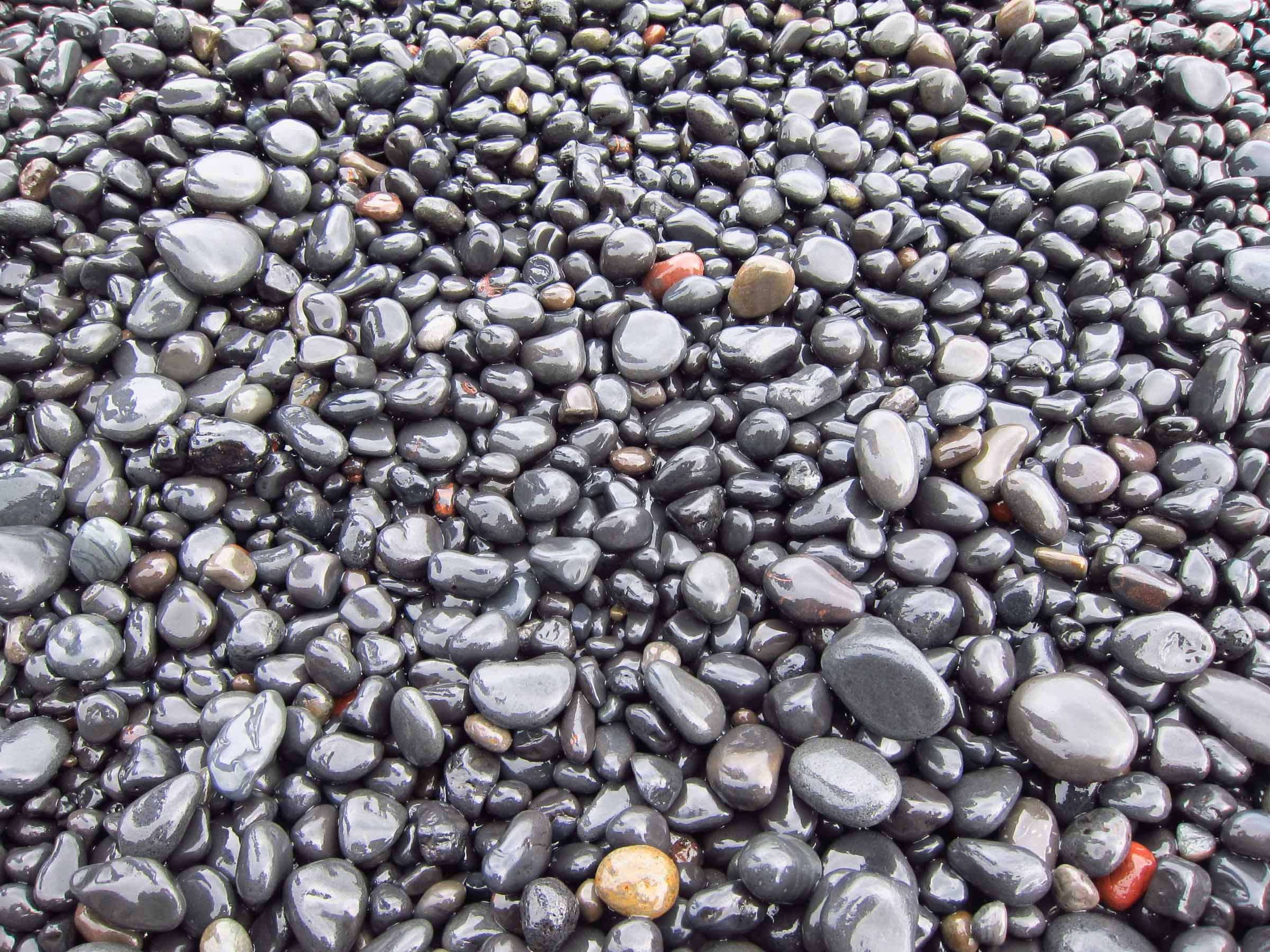   Beach at Vík í Mýrdal  