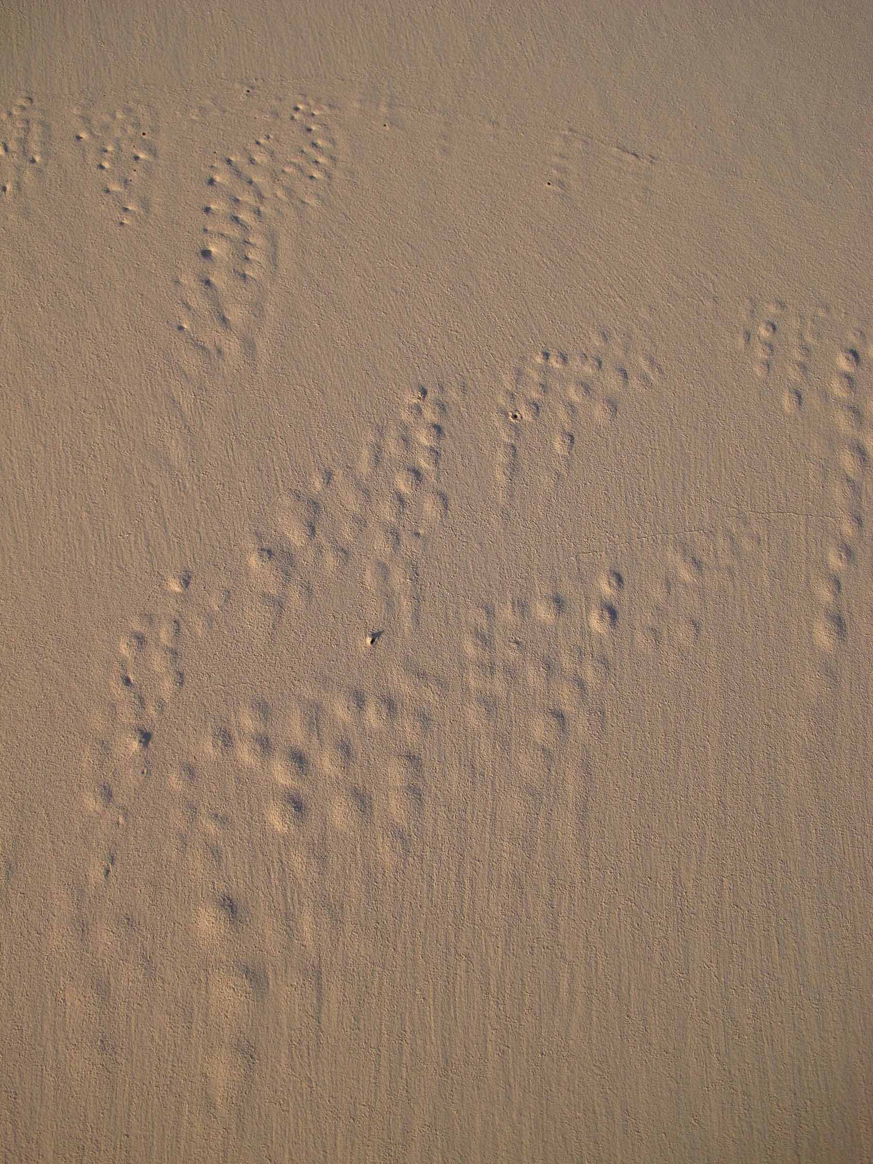   Pigeon Cay, Cat Island  