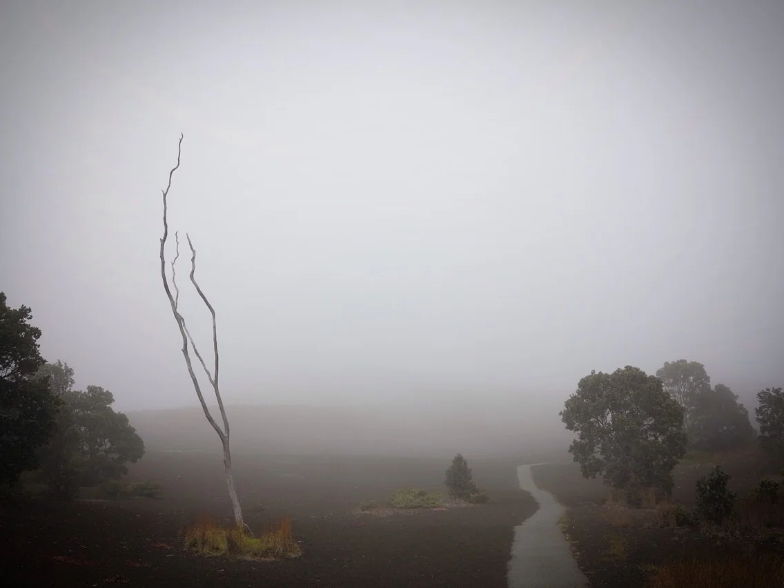   Devastation Trail, Hawaii Volcanoes National Park  