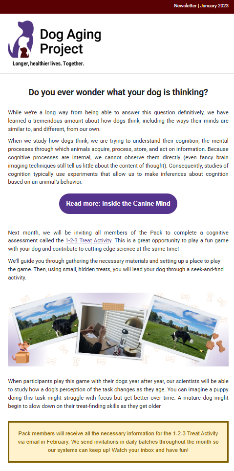 January 2023 Newsletter