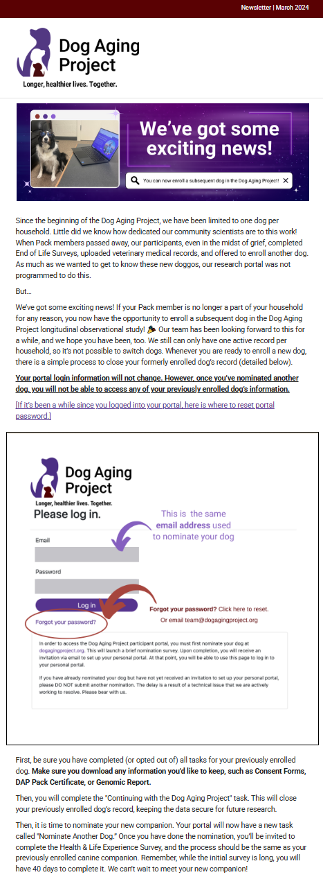 DAP March 2024 Newsletter
