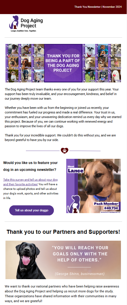 DAP November 2024 Newsletter