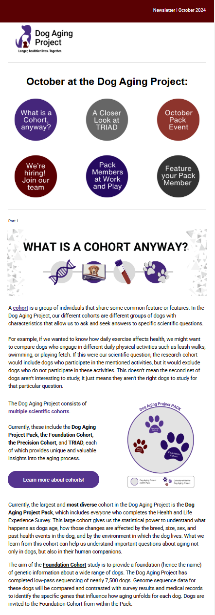DAP October 2024 Newsletter