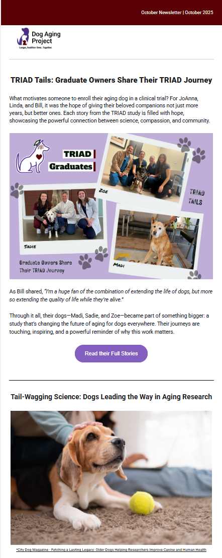 DAP October 2025 Newsletter