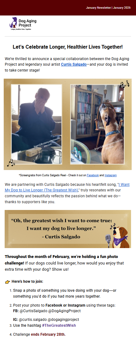 DAP January 2026 Newsletter