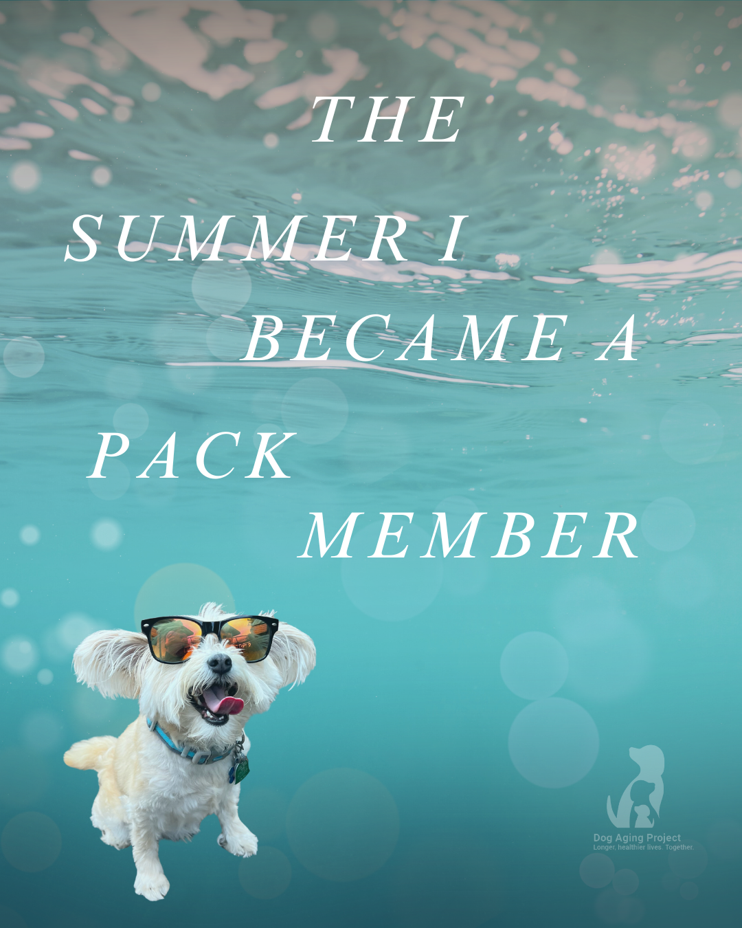 The Summer I Became A Pack Member
