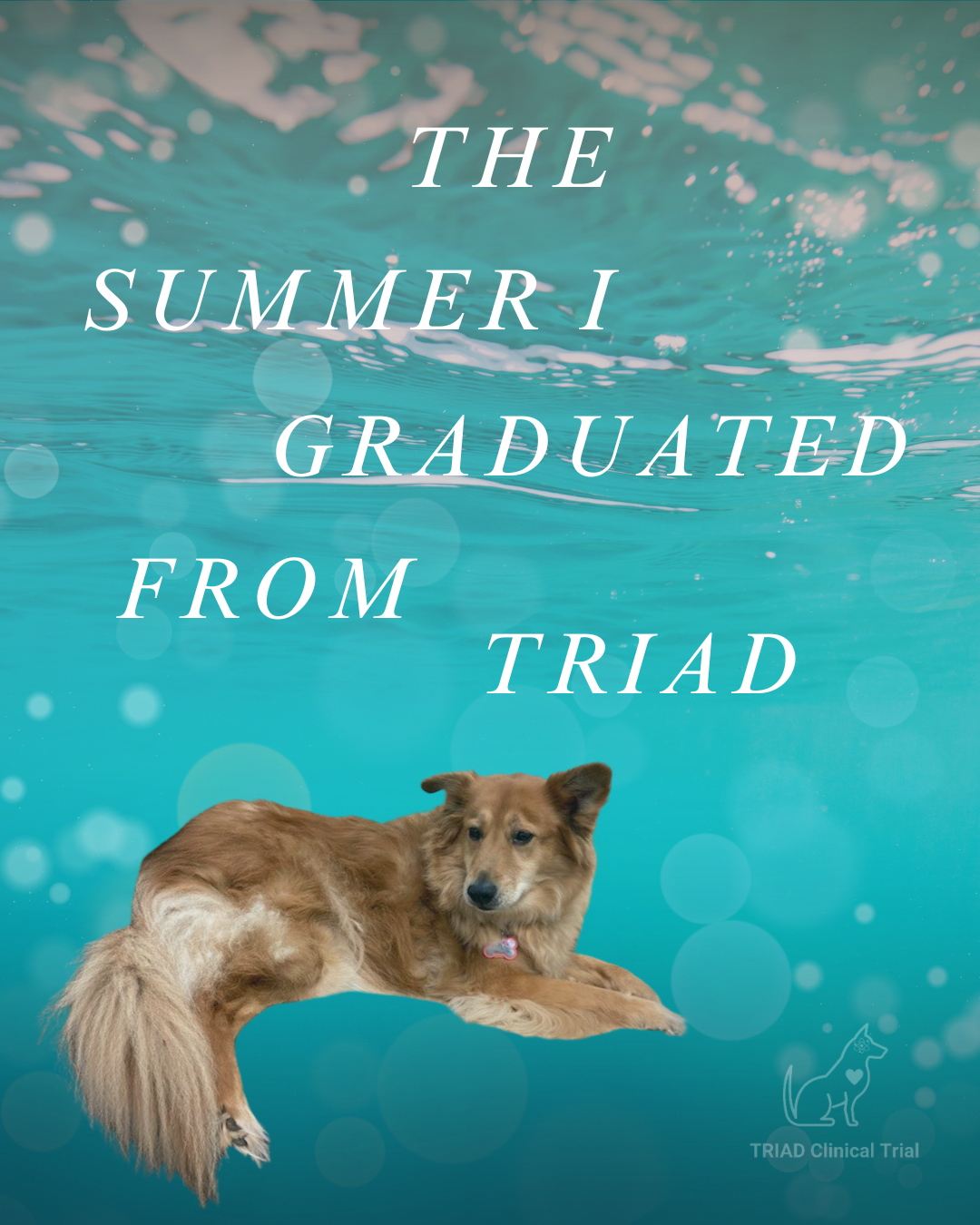 The Summer I Graduated from TRIAD