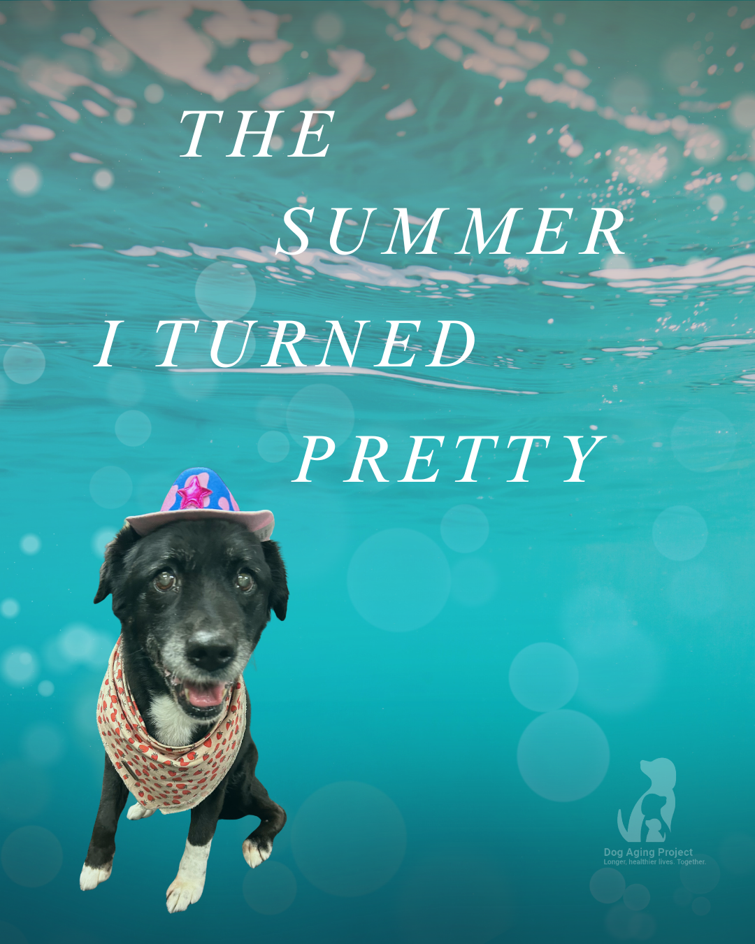 The Summer I Turned Pretty