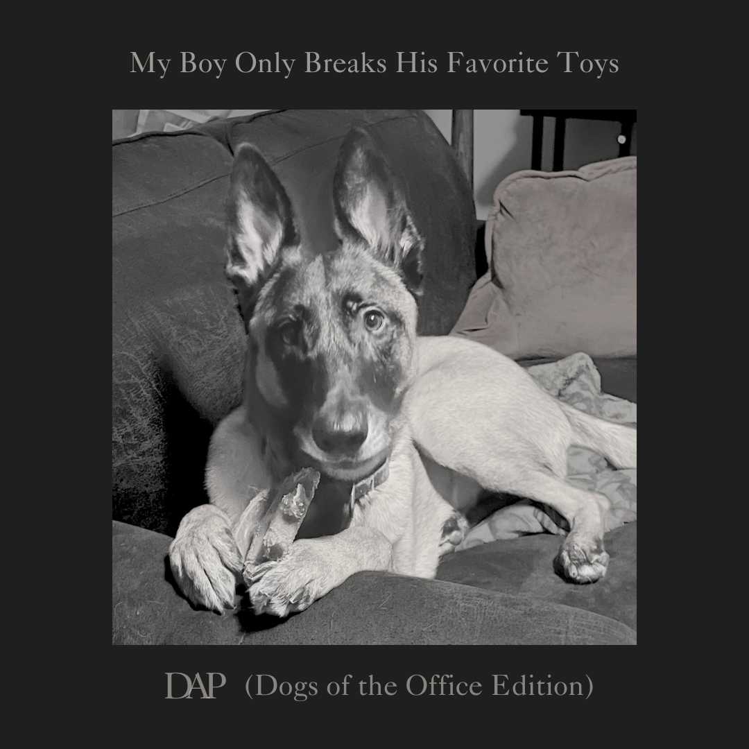 My Boy Only Breaks His Favorite Toys