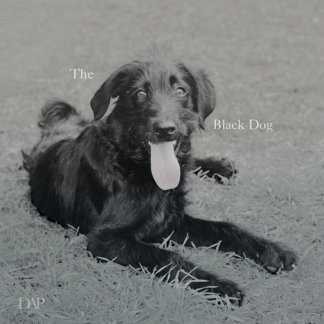 The Black Dog