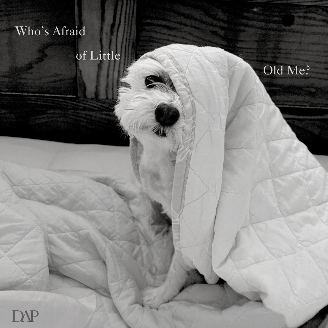 Who's Afraid of Little Old Me?