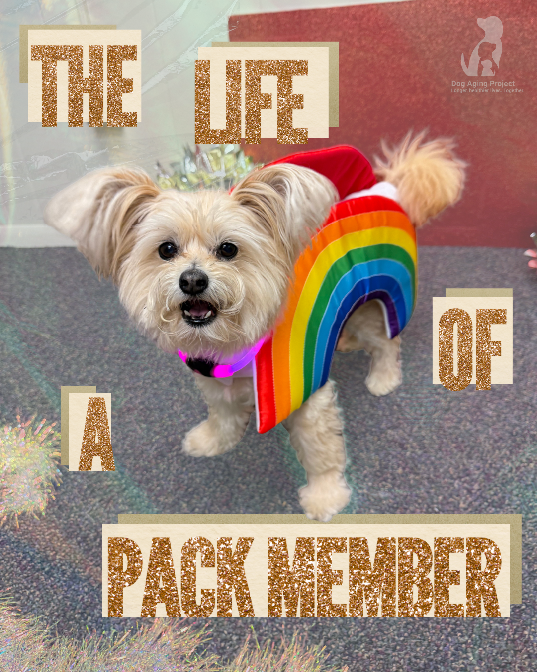 The Life of a Pack Member
