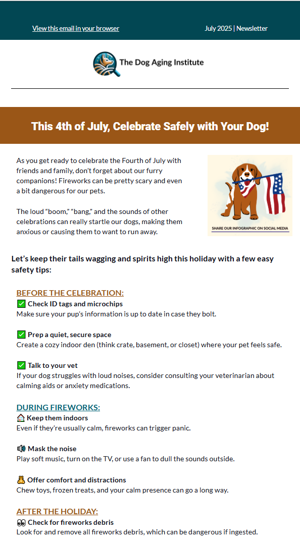 July 2025 Newsletter 