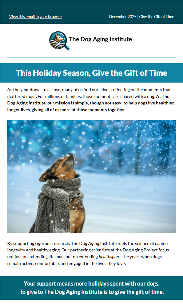 Happy Holidays 2025