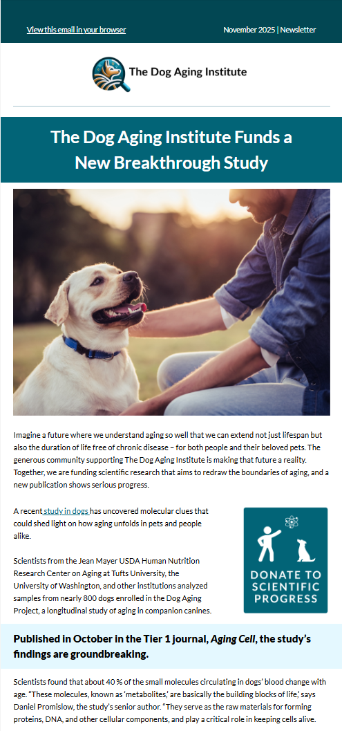 November 2025 Newsletter