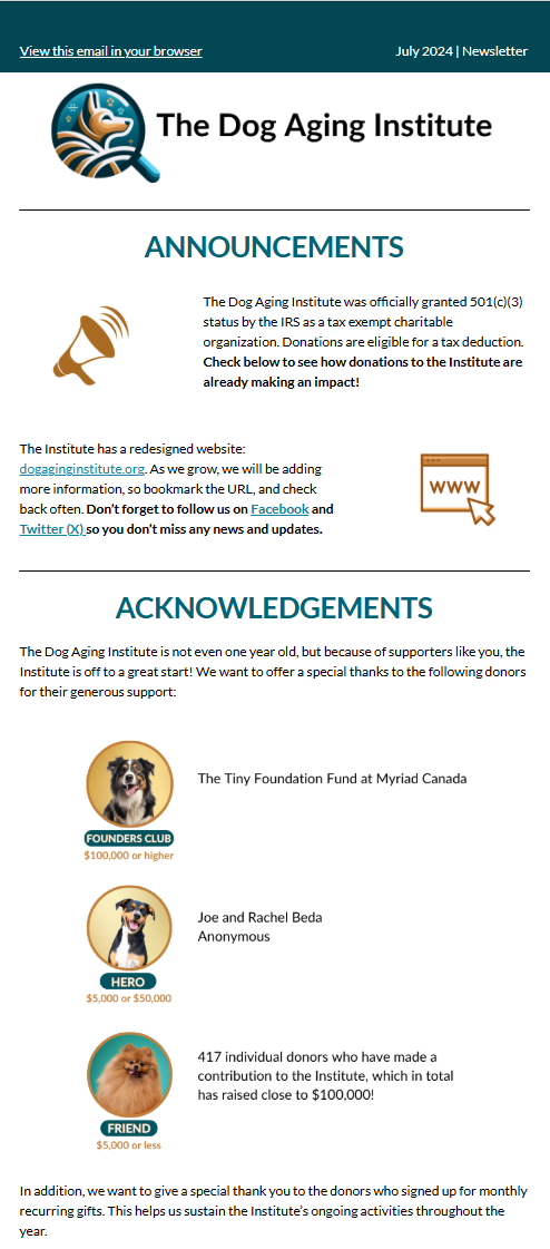 July 2024 DAI Newsletter