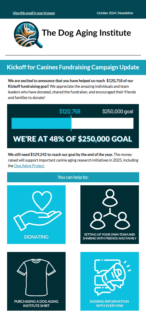 October 2024 Newsletter